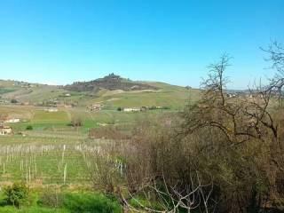 Villa unifamiliare Strada Carlina, 7, Costigliole d'Asti — foto 15 di 31