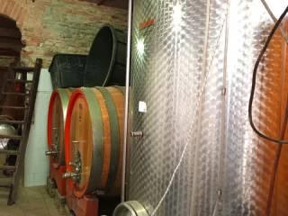 Villa unifamiliare Strada Carlina, 7, Costigliole d'Asti — foto 18 di 31