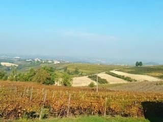Villa unifamiliare Strada Lazzaretto, 19, Costigliole d'Asti — foto 8 di 43