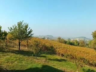 Villa unifamiliare Strada Lazzaretto, 19, Costigliole d'Asti — foto 37 di 43