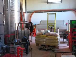 Villa unifamiliare Strada Carlina, 7, Costigliole d'Asti — foto 14 di 31