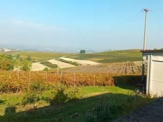 Villa unifamiliare Strada Lazzaretto, 19, Costigliole d'Asti — foto 39 di 43