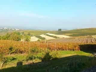 Villa unifamiliare Strada Lazzaretto, 19, Costigliole d'Asti — foto 15 di 43