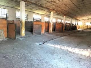 Villa unifamiliare Strada San Carlo, 6, Costigliole d'Asti — foto 18 di 24