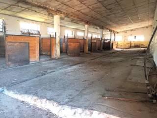 Villa unifamiliare Strada San Carlo, 6, Costigliole d'Asti — foto 16 di 24