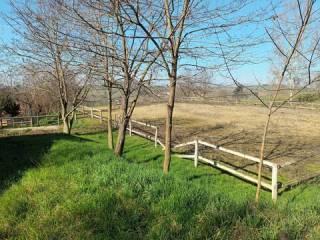 Villa unifamiliare Strada San Carlo, 6, Costigliole d'Asti — foto 6 di 24