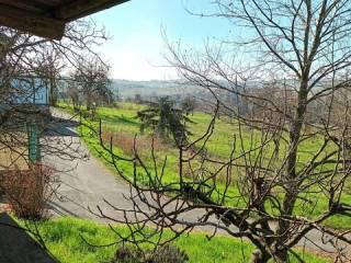 Villa unifamiliare Strada San Carlo, 6, Costigliole d'Asti — foto 8 di 24