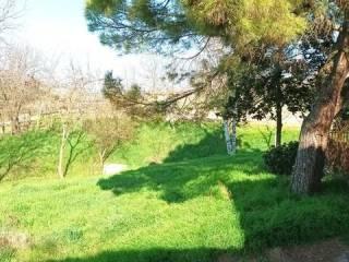 Villa unifamiliare Strada San Carlo, 6, Costigliole d'Asti — foto 3 di 24