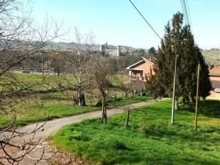 Villa unifamiliare Strada San Carlo, 6, Costigliole d'Asti — foto 13 di 24
