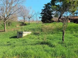 Villa unifamiliare Strada San Carlo, 6, Costigliole d'Asti — foto 12 di 24