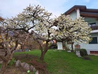 Villa unifamiliare 210 m², Soccher Paiane Casan Arsie, Ponte nelle Alpi — foto 11 di 46