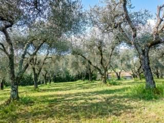Villa unifamiliare Soriano Nel Cimino, Centro, Soriano nel Cimino — foto 9 di 100