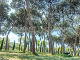Villa unifamiliare Soriano Nel Cimino, Centro, Soriano nel Cimino — foto 17 di 100