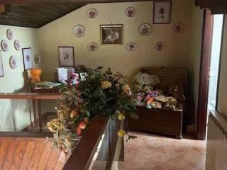 Villa unifamiliare viale Toni Gardin No Number, Isola Albarella, Rosolina — foto 23 di 32