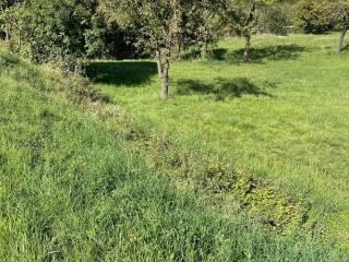 Terratetto unifamiliare frazione Moscheri, Trambileno — foto 2 di 8