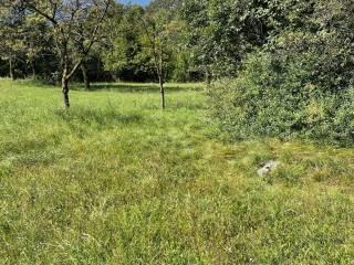 Terratetto unifamiliare frazione Moscheri, Trambileno — foto 5 di 8