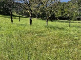 Terratetto unifamiliare frazione Moscheri, Trambileno — foto 3 di 8