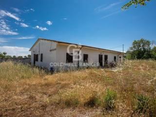 Villa plurifamiliare Località Campomorto, Montalto di Castro