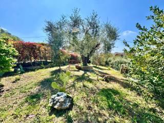 Villa unifamiliare via Coste delle Ghiaie, Centro, Torrice — foto 13 di 36
