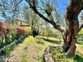 Villa unifamiliare via Coste delle Ghiaie, Centro, Torrice — foto 8 di 36