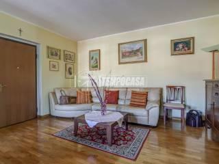 Trilocale via del Moncone 76, Cardano al Campo — foto 3 di 28