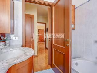 Trilocale via del Moncone 76, Cardano al Campo — foto 10 di 28