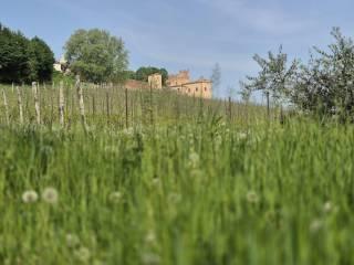 Villa unifamiliare via Casale 9, Centro, Montemagno — foto 27 di 75