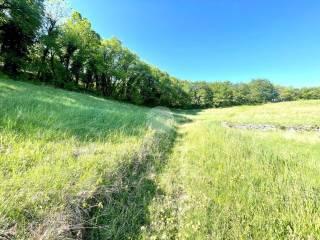 Rustico Località pozza gallet, Caprino Veronese — foto 21 di 46