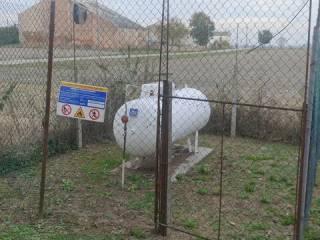Villa unifamiliare via Trento, 1600, Ficarolo — foto 4 di 24
