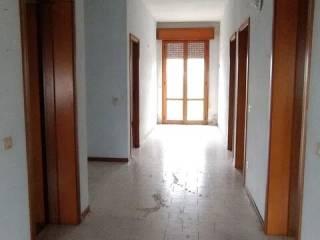 Villa unifamiliare via Trento, 1600, Ficarolo — foto 6 di 24