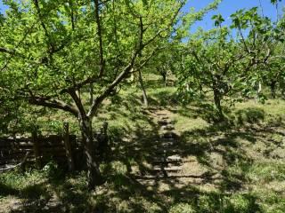 Villa unifamiliare Loc. La Casa, Vernio — foto 10 di 24