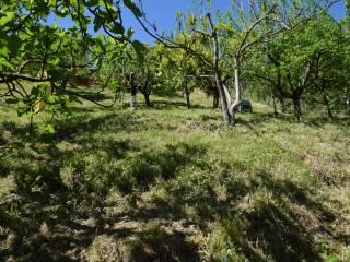 Villa unifamiliare Loc. La Casa, Vernio — foto 24 di 24
