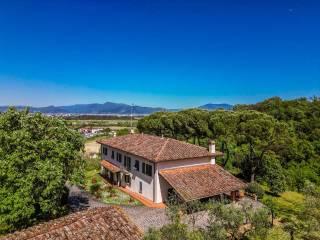 Rustico via Carmignanese, Poggio a Caiano — foto 46 di 63