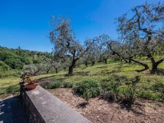 Rustico via Carmignanese, Poggio a Caiano — foto 33 di 63
