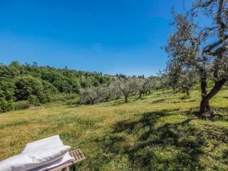 Rustico via Carmignanese, Poggio a Caiano — foto 34 di 63