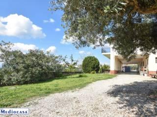 Villa unifamiliare Borgata Colli 18, Centro, Santa Maria Imbaro — foto 4 di 34