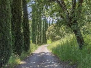 Villa unifamiliare Località Loro Campagna, Loro Ciuffenna — foto 22 di 36