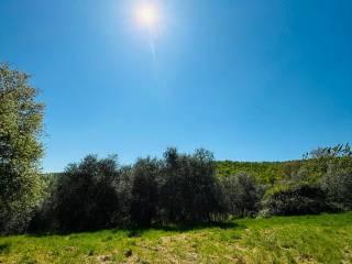 Casale via Montelucci, Laterina Pergine Valdarno — foto 11 di 41