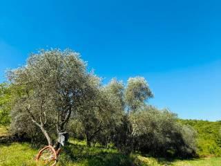 Casale via Montelucci, Laterina Pergine Valdarno — foto 30 di 41