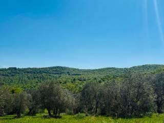 Casale via Montelucci, Laterina Pergine Valdarno — foto 15 di 41