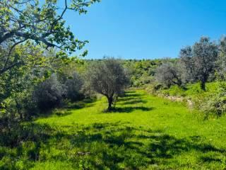 Casale via Montelucci, Laterina Pergine Valdarno — foto 39 di 41