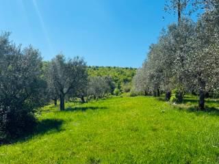 Casale via Montelucci, Laterina Pergine Valdarno — foto 20 di 41