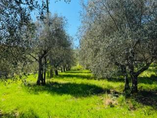 Casale via Montelucci, Laterina Pergine Valdarno — foto 33 di 41
