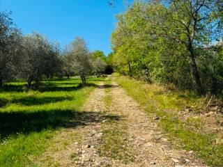 Casale via Montelucci, Laterina Pergine Valdarno — foto 2 di 41