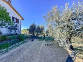 Villa unifamiliare Località Polveraia, Monte San Savino — foto 15 di 22
