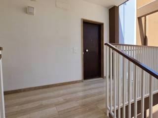 Trilocale via Saccotelli e Lotti 36, Santa Maria Vetere, Andria — foto 16 di 34