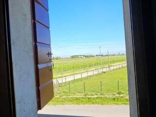 Casale via Postumia centro 134, Centro, San Biagio di Callalta — foto 7 di 31