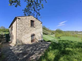 Terratetto unifamiliare C.da San Paolo 4, Mirabello Sannitico — foto 11 di 20