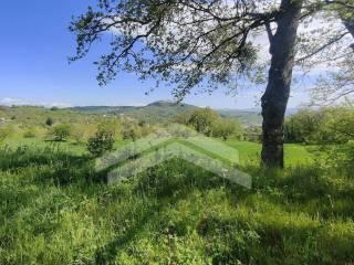 Terratetto unifamiliare C.da San Paolo 4, Mirabello Sannitico — foto 6 di 20