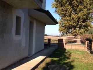 Trilocale nuovo, primo piano, Centro, Canaro — foto 2 di 13